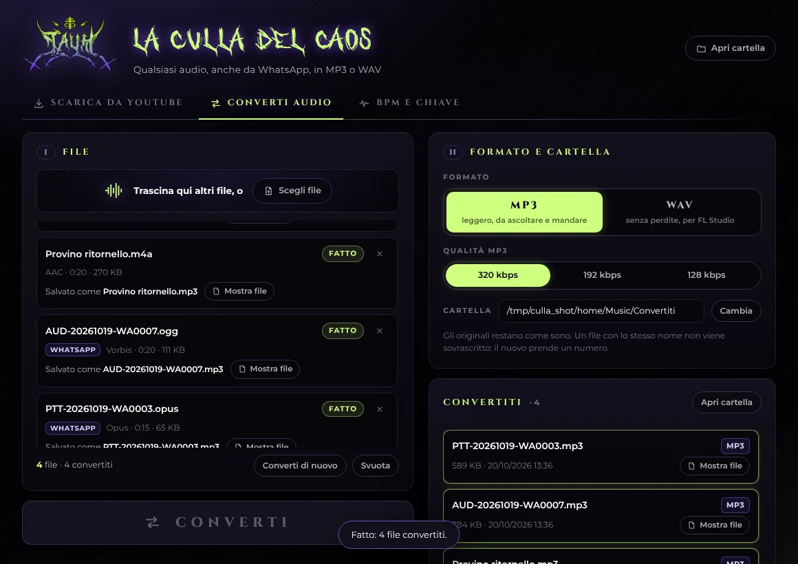 La scheda Converti audio con l'elenco dei file e il formato scelto